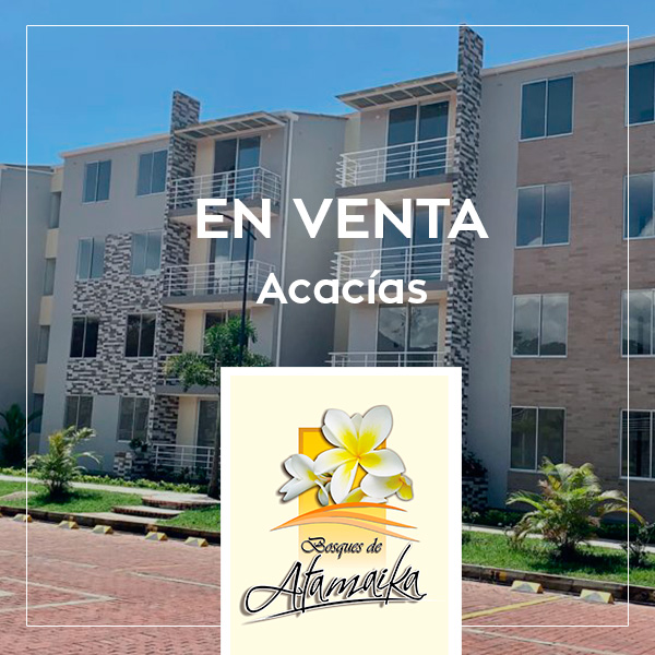 acacias-2